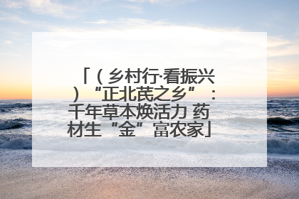 （乡村行·看振兴）“正北芪之乡”：千年草本焕活力 药材生“金”富农家