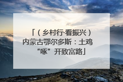 （乡村行·看振兴）内蒙古鄂尔多斯：土鸡“啄”开致富路