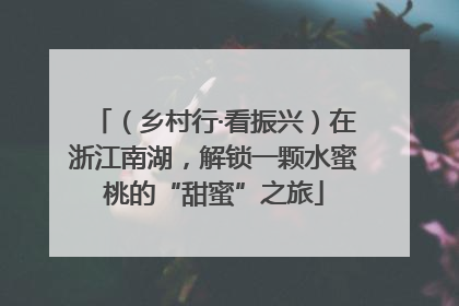 （乡村行·看振兴）在浙江南湖，解锁一颗水蜜桃的“甜蜜”之旅