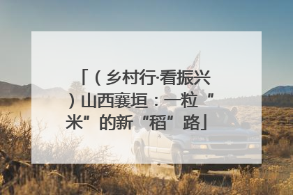（乡村行·看振兴）山西襄垣：一粒“米”的新“稻”路