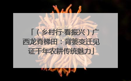 （乡村行·看振兴）广西龙脊梯田：背篓变迁见证千年农耕传统魅力