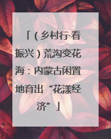 （乡村行·看振兴）荒沟变花海：内蒙古闲置地育出“花漾经济”