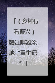 （乡村行·看振兴）赣江畔滩涂地“重生记”