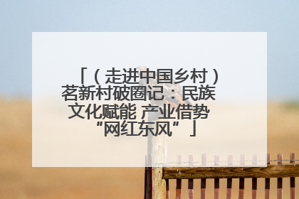 （走进中国乡村）茗新村破圈记：民族文化赋能 产业借势 “网红东风”