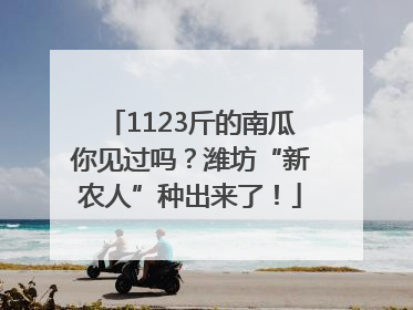 1123斤的南瓜你见过吗？潍坊“新农人”种出来了！