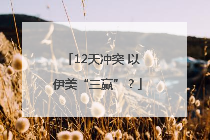 12天冲突 以伊美“三赢”？