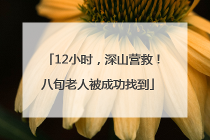12小时，深山营救！八旬老人被成功找到