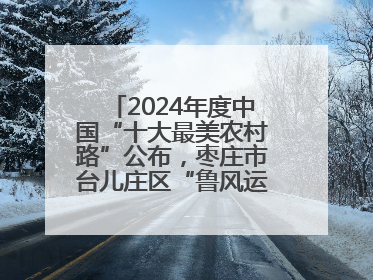 2024年度中国“十大最美农村路”公布，枣庄市台儿庄区“鲁风运河”古城文化廊道上榜！