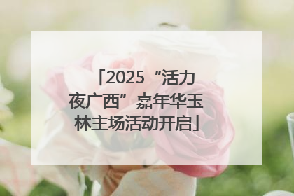 2025“活力夜广西”嘉年华玉林主场活动开启