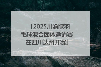 2025川渝陕羽毛球混合团体邀请赛在四川达州开赛