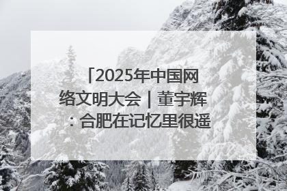 2025年中国网络文明大会｜董宇辉：合肥在记忆里很遥远也很亲切