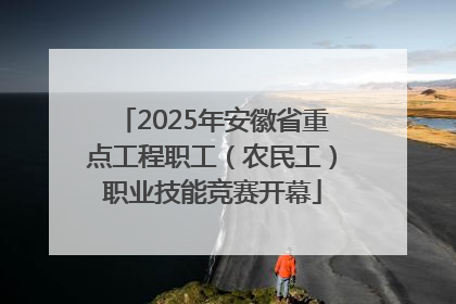 2025年安徽省重点工程职工（农民工）职业技能竞赛开幕
