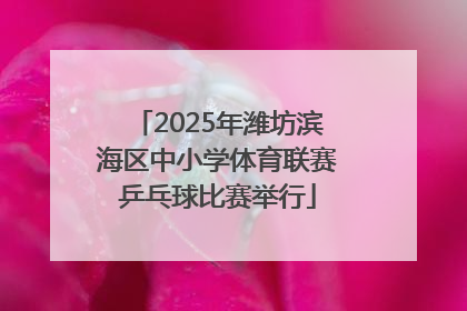 2025年潍坊滨海区中小学体育联赛乒乓球比赛举行