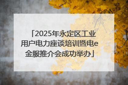 2025年永定区工业用户电力座谈培训暨电e金服推介会成功举办