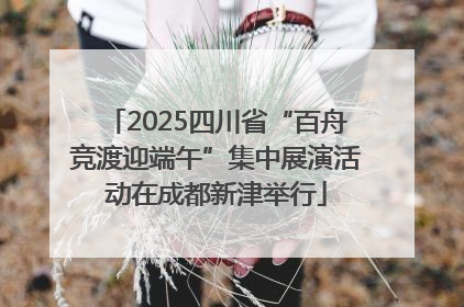 2025四川省“百舟竞渡迎端午”集中展演活动在成都新津举行