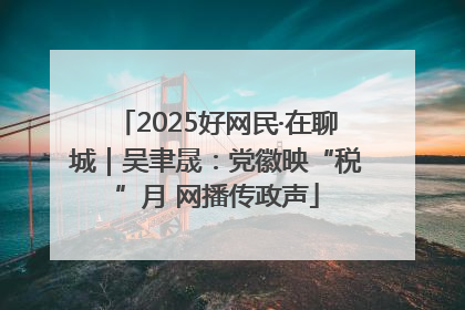 2025好网民·在聊城｜吴聿晟：党徽映“税”月 网播传政声