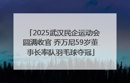 2025武汉民企运动会圆满收官 乔万尼59岁董事长率队羽毛球夺冠