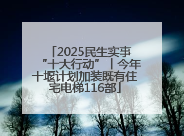 2025民生实事“十大行动”丨今年十堰计划加装既有住宅电梯116部
