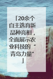 20余个自主选育新品种亮相，全面展示农业科技的“青岛力量”