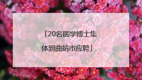 20名医学博士集体到曲靖市应聘