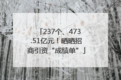 237个、473.51亿元！晒晒招商引资“成绩单”