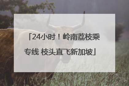 24小时！岭南荔枝乘专线 枝头直飞新加坡
