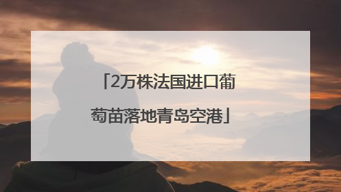 2万株法国进口葡萄苗落地青岛空港