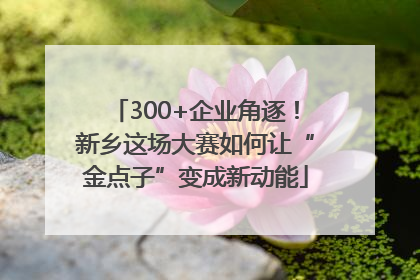 300+企业角逐！新乡这场大赛如何让“金点子”变成新动能