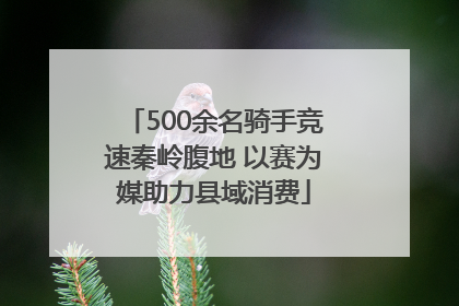 500余名骑手竞速秦岭腹地 以赛为媒助力县域消费