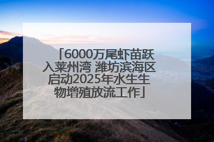 6000万尾虾苗跃入莱州湾 潍坊滨海区启动2025年水生生物增殖放流工作
