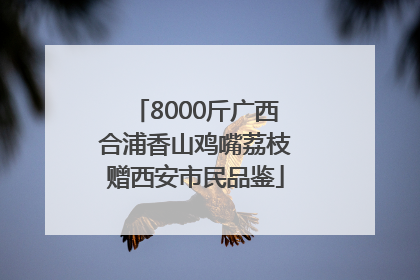 8000斤广西合浦香山鸡嘴荔枝赠西安市民品鉴