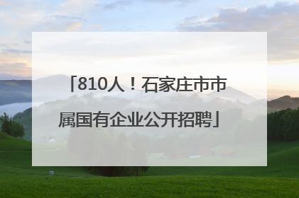 810人！石家庄市市属国有企业公开招聘