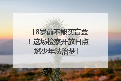8岁前不能买盲盒！这场检察开放日点燃少年法治梦