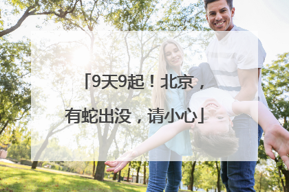 9天9起！北京，有蛇出没，请小心