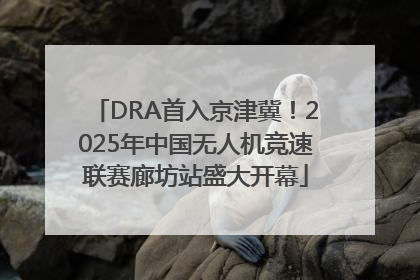 DRA首入京津冀！2025年中国无人机竞速联赛廊坊站盛大开幕