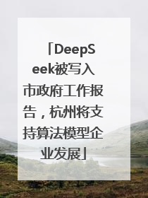 DeepSeek被写入市政府工作报告，杭州将支持算法模型企业发展