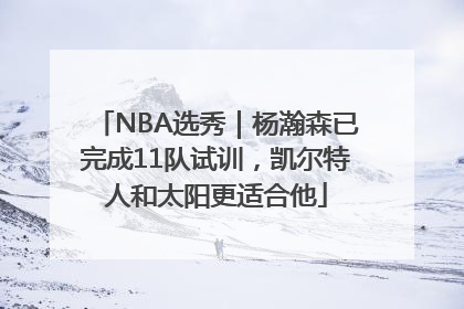 NBA选秀｜杨瀚森已完成11队试训，凯尔特人和太阳更适合他